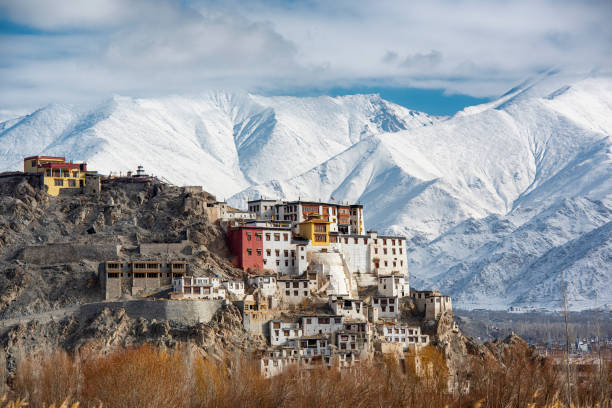 Ladakh Landscape